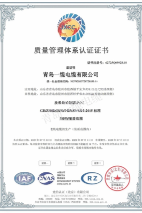 青島一纜電纜容榮譽證書