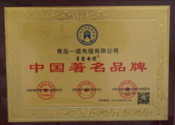 榮譽(yù)展示