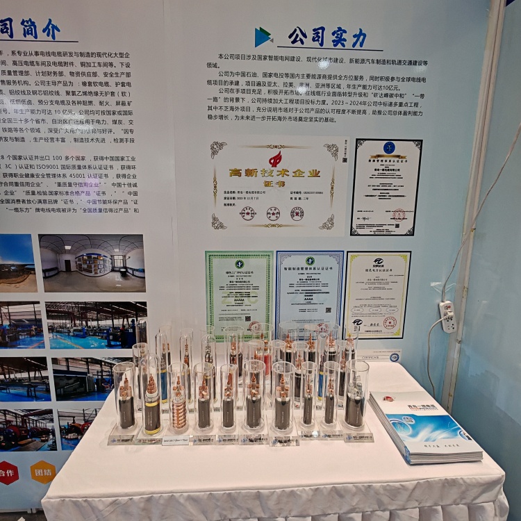 青島一纜電纜參加2025（第四屆）上海合作組織國際投資貿(mào)易博覽會取得圓滿成功